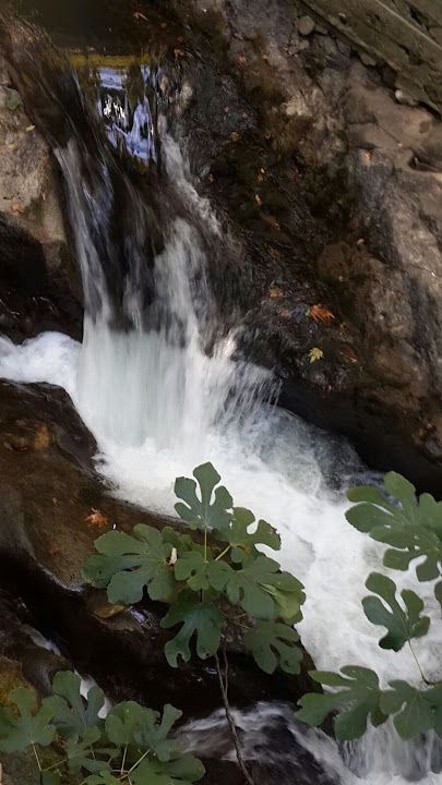 Fotoğraf 16