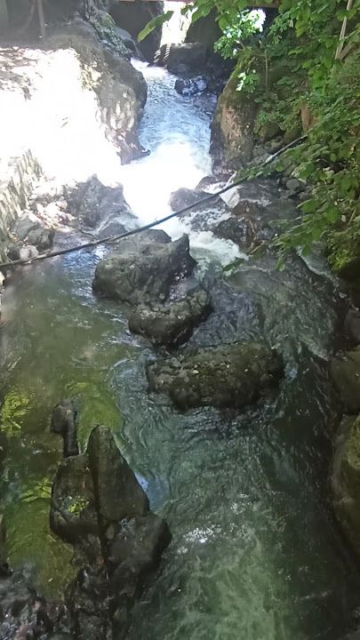 Fotoğraf 52