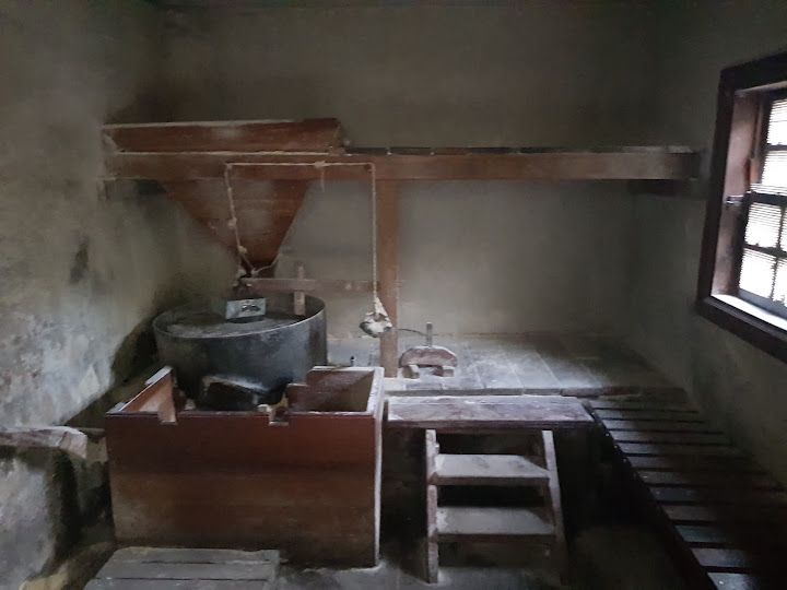 Fotoğraf 28