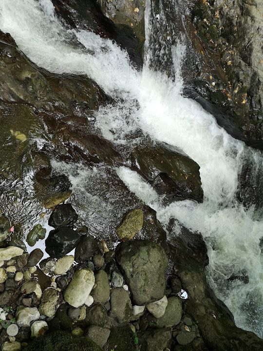 Fotoğraf 29
