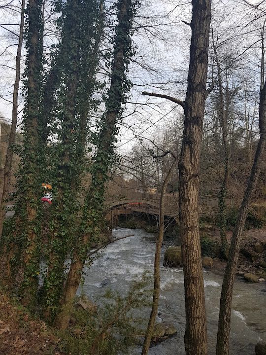 Fotoğraf 26
