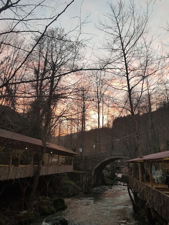 Fotoğraf 25