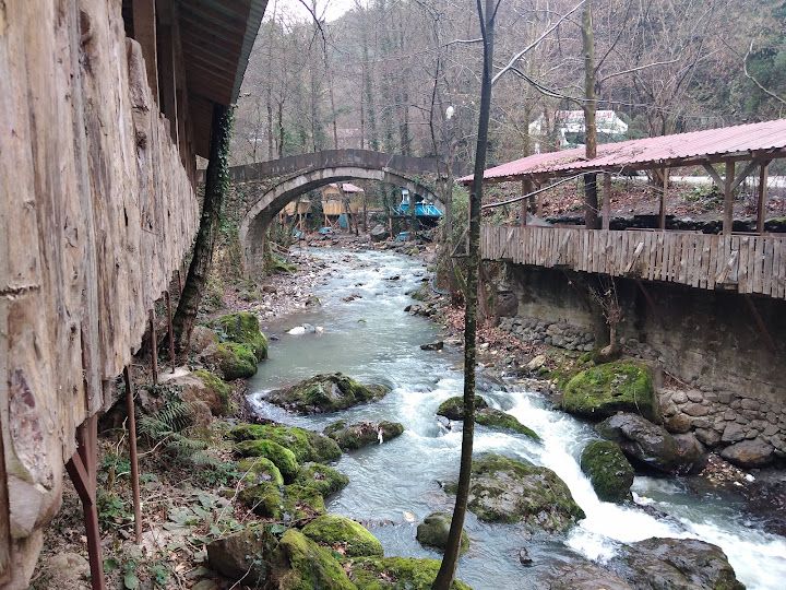 Fotoğraf 11
