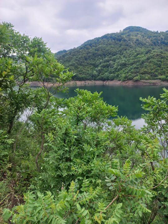 Fotoğraf 49