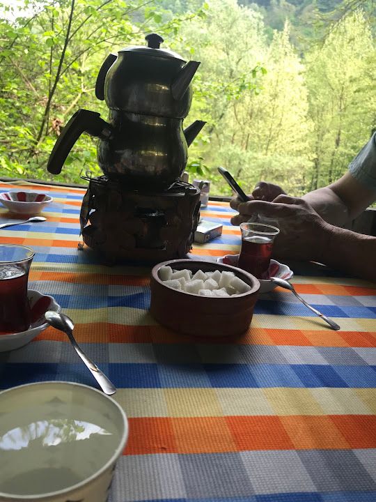 Fotoğraf 81