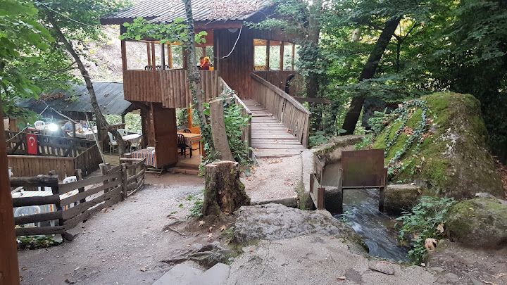 Fotoğraf 73