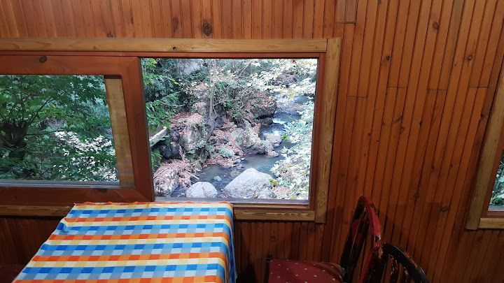 Fotoğraf 75