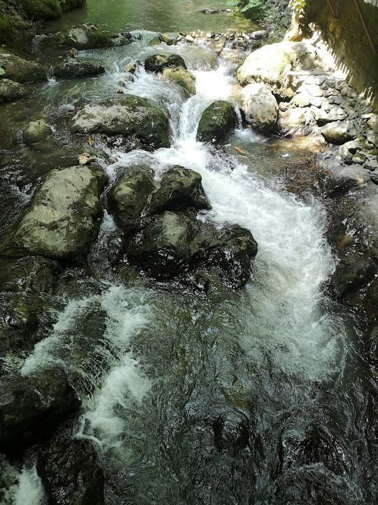 Fotoğraf 63