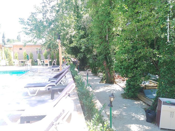 Fotoğraf 47