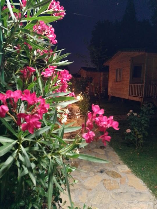 Fotoğraf 44