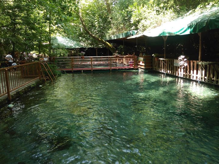 Fotoğraf 49