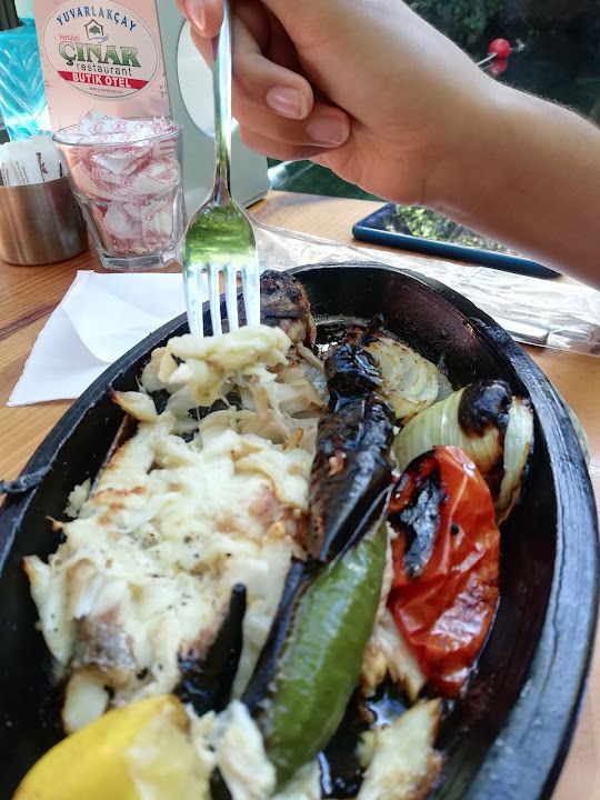 Fotoğraf 44