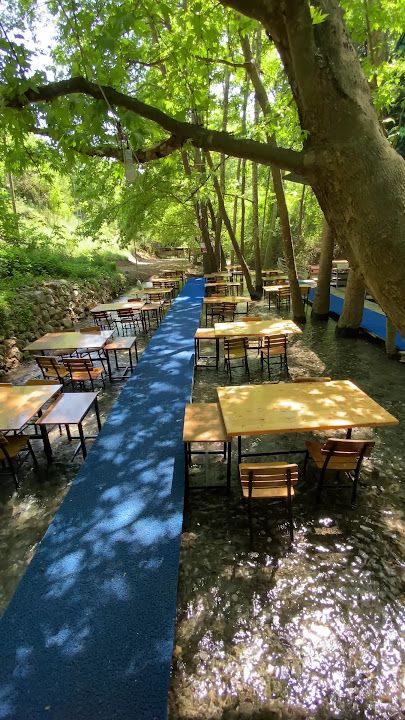 Fotoğraf 31