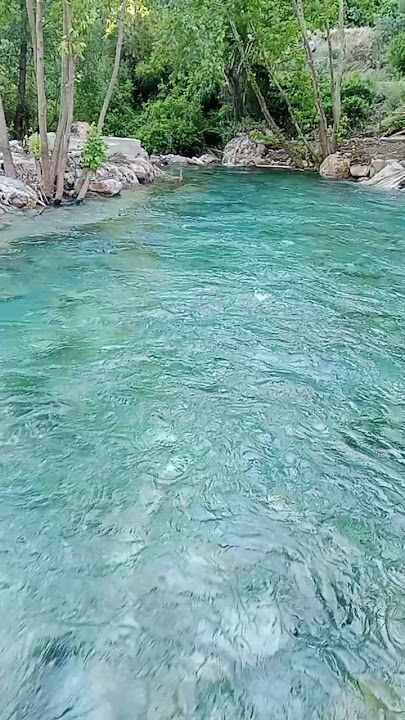 Fotoğraf 32