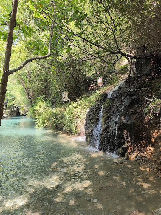 Yorum fotoğrafı 4