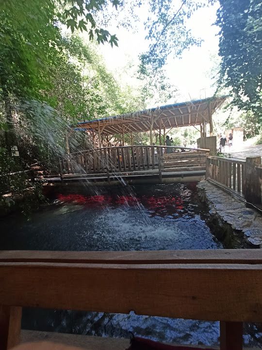 Fotoğraf 50