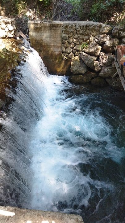Yorum fotoğrafı 4