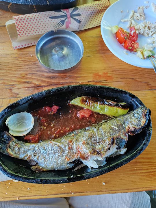 Fotoğraf 19