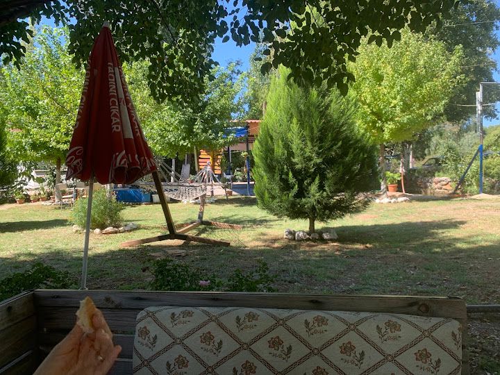 Yorum fotoğrafı 4