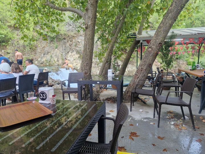 Fotoğraf 24