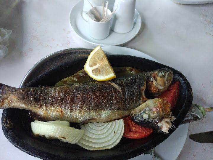 Fotoğraf 40