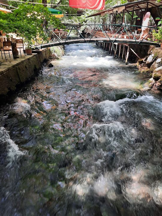 Fotoğraf 56