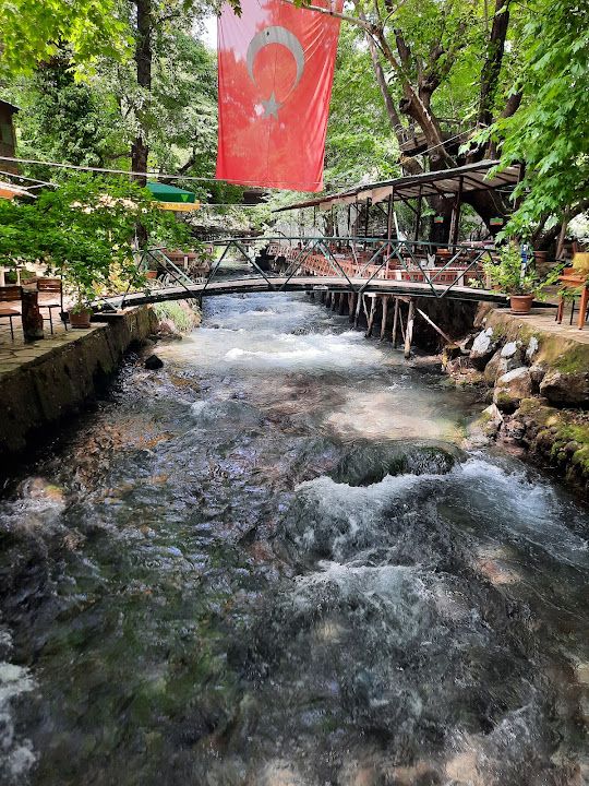 Fotoğraf 57