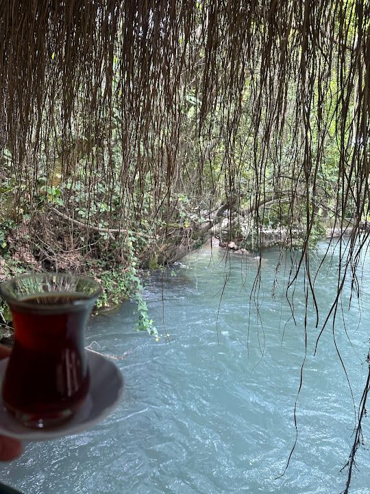Fotoğraf 31