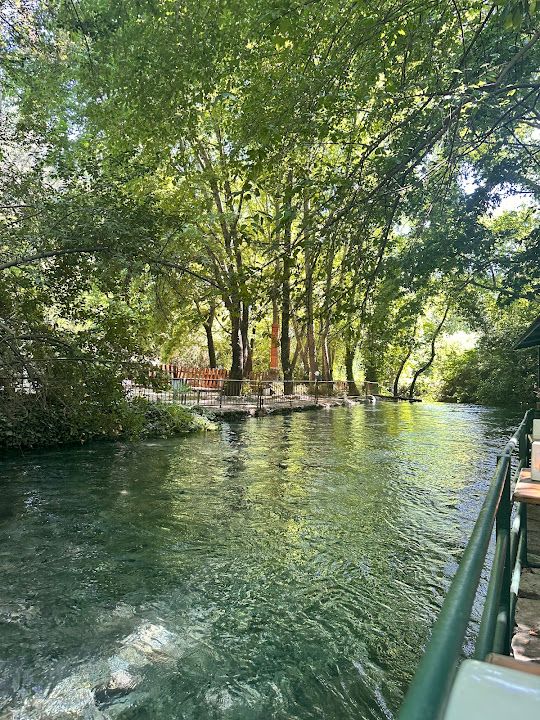 Fotoğraf 27