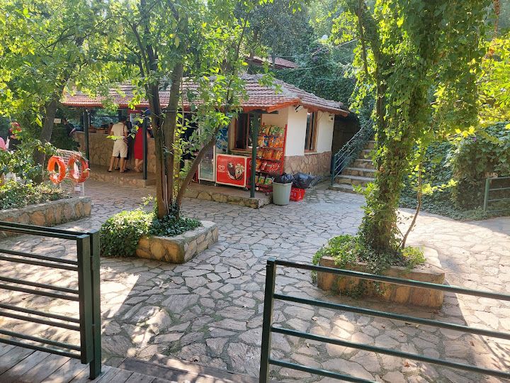 Fotoğraf 55