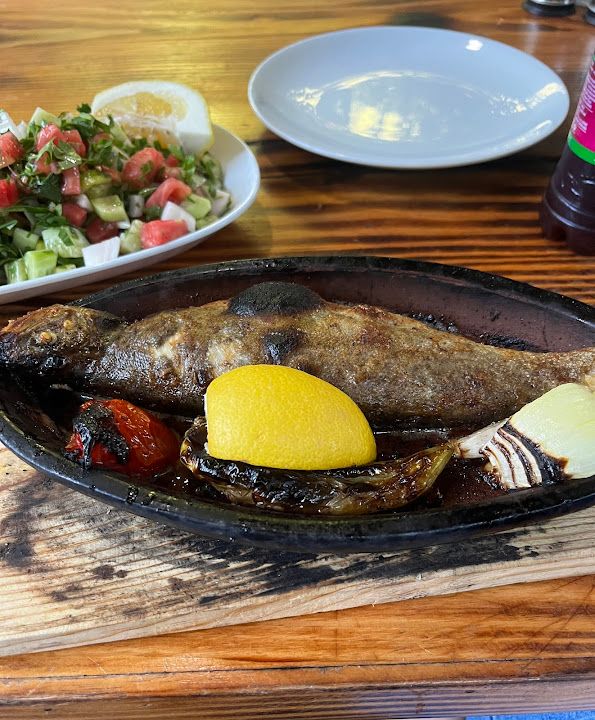 Fotoğraf 63