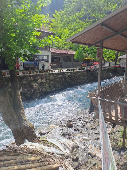 Fotoğraf 58