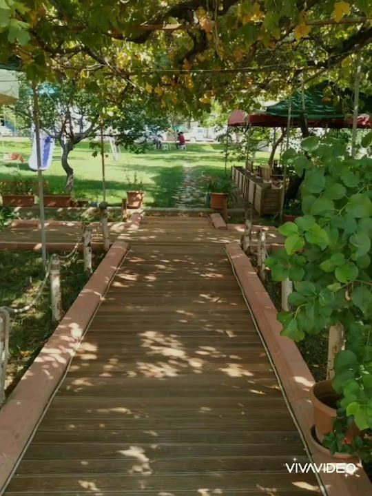 Fotoğraf 17