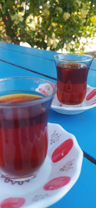 Fotoğraf 20