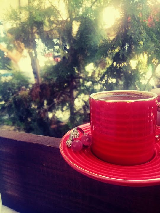 Fotoğraf 22