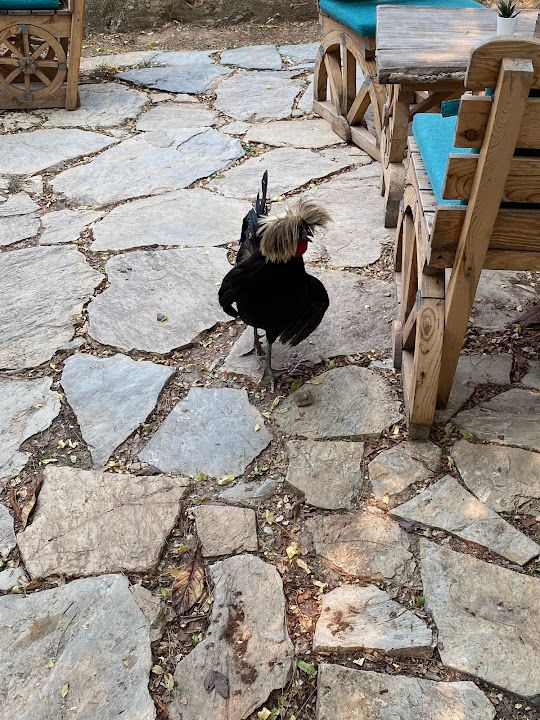 Yorum fotoğrafı 3