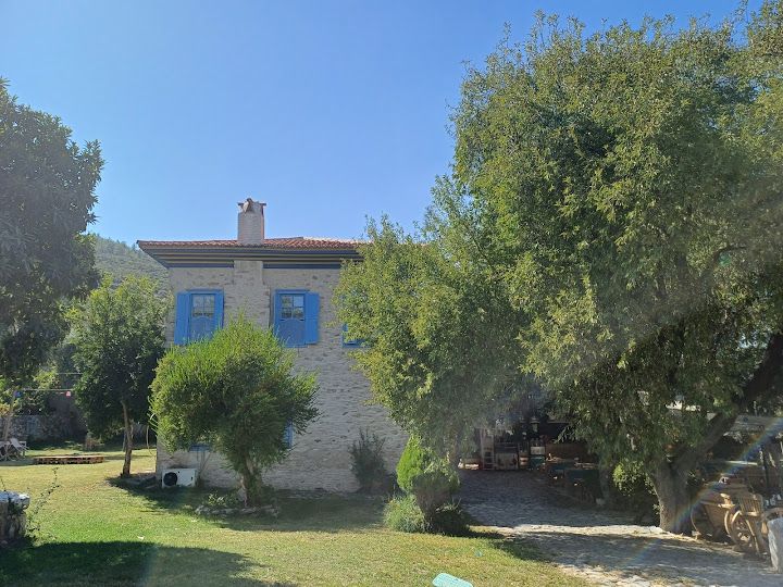 Yorum fotoğrafı 2