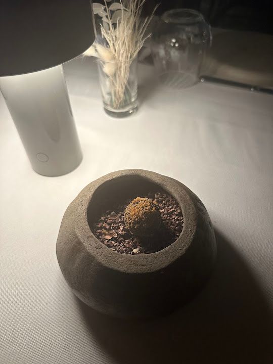 Yorum fotoğrafı 4
