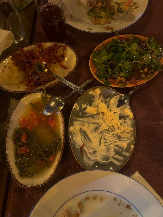 Fotoğraf 50
