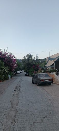 Yorum fotoğrafı 6