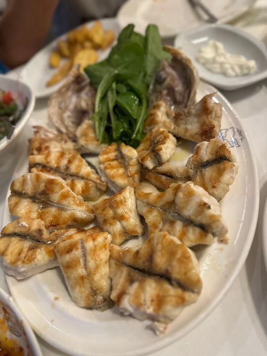 Fotoğraf 33