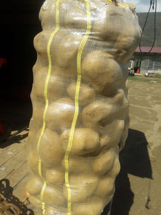 Fotoğraf 19