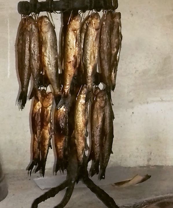 Fotoğraf 20