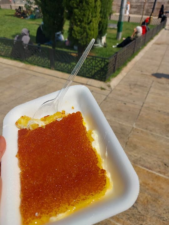 Fotoğraf 30