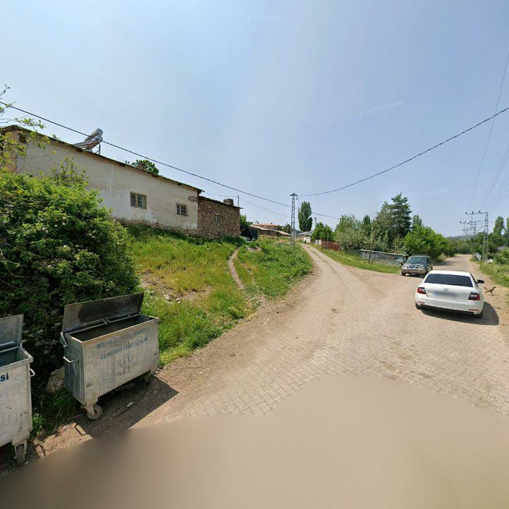 Alabalık