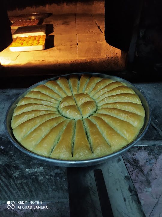 Fotoğraf 12