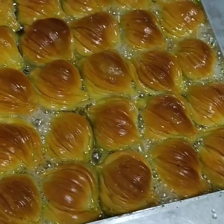 Fotoğraf 15