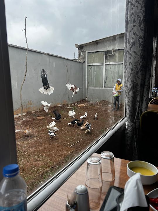 Fotoğraf 32