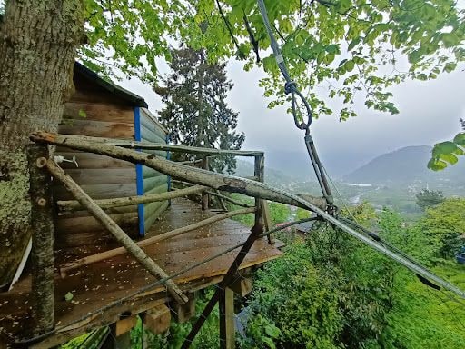Fotoğraf 28