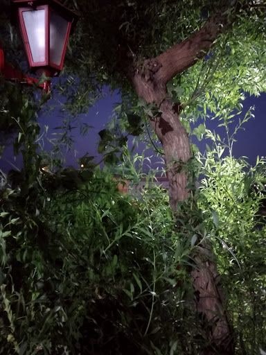 Yorum fotoğrafı 3